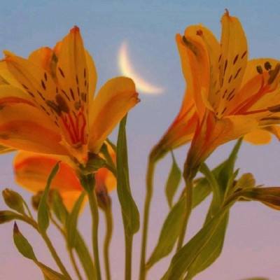 亚博棋牌手机app下载